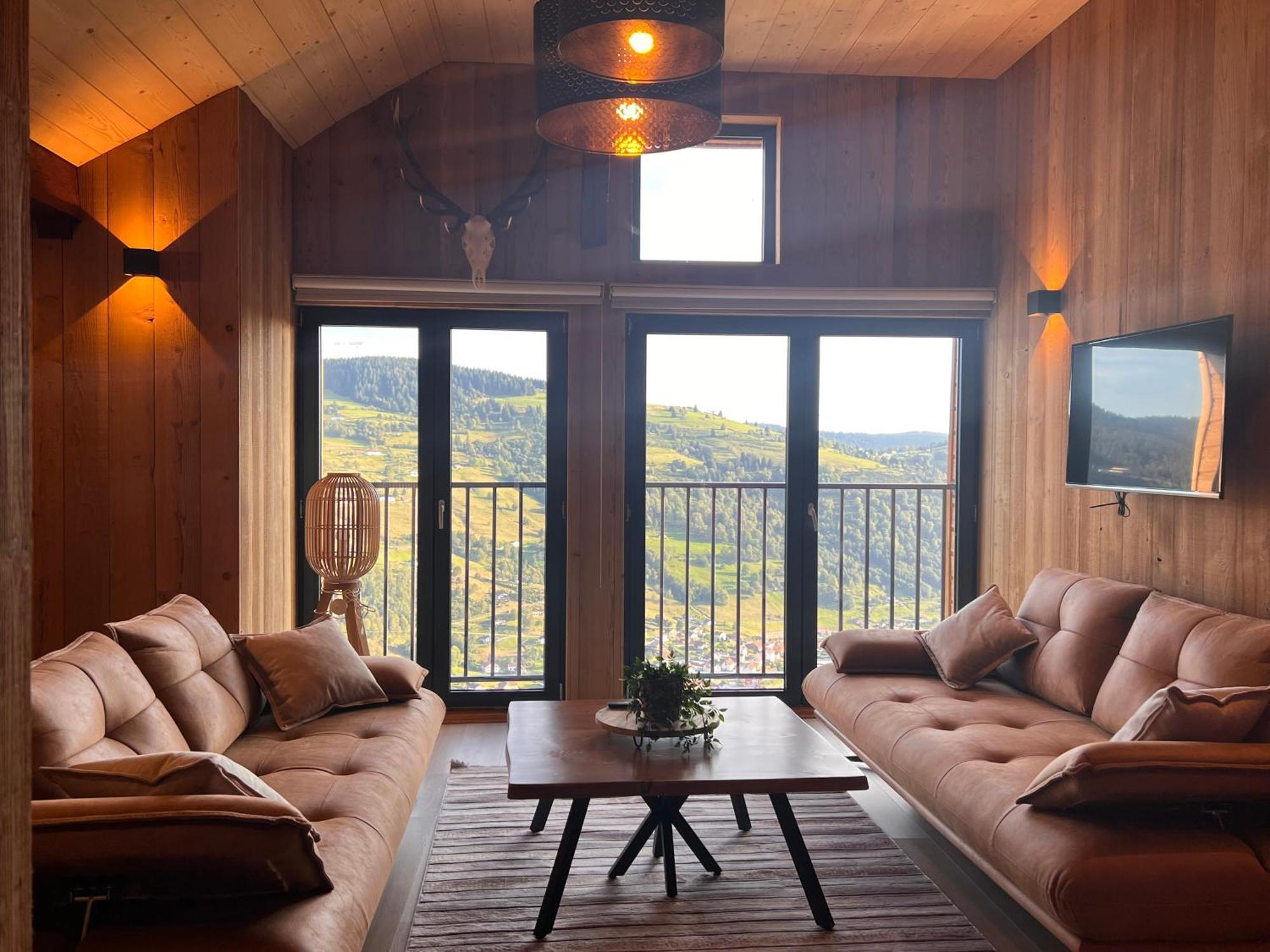 Grand Cerf - Vue Panoramique La Bresse-Gerardmer Apartment Ngoại thất bức ảnh